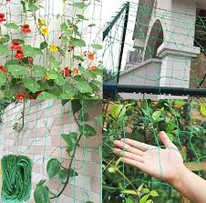 Garden Netting For Climbing Plant Pea