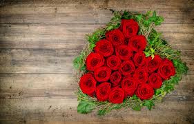 photography red rose romantic