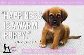We're on a mission of turning inspiring quotes into beautiful wallpapers. Happiness Is A Warm Puppy Charles M Schulz