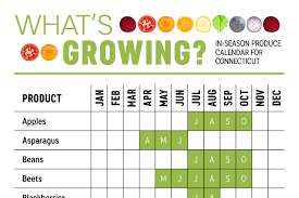 Whats In Season Connecticut Produce Calendar Infographic