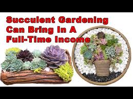 Succulent Gardening Can Bring In A Full