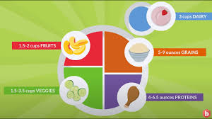 nutrition importance of the five food