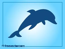 dolphin vector vector art graphics
