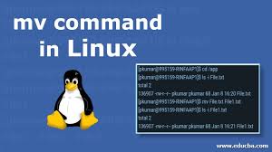 mv command in linux complete guide to