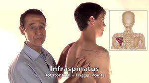 shoulder joint pain ociated with