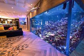 SeaQuatic Aquariums gambar png