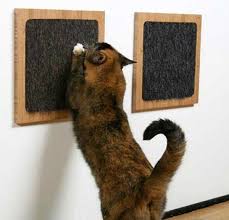 wall mounted cat scratchers