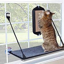 Cat Window Perch Cat Scratcher Cat Window