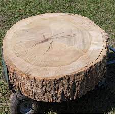 Make A Tree Stump Coffee Table