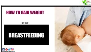 gain weight while tfeeding healthy