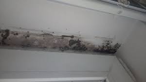 mold remediation cost