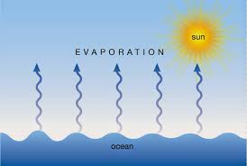 Evaporasi disebut juga dengan penguapan ini merupakan sebuah proses perubahan es menjadi steam heated evaporator ini adalah evaporatoryakni dengan pemanasan stero yang mana auap atau. Faktor Yang Memengaruhi Evaporasi Geograph88