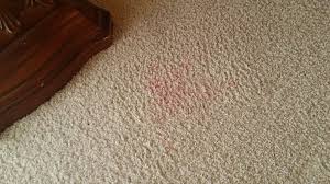 is my carpet ruined if i spill colored