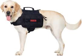 backpacks and saddlebags for dogs