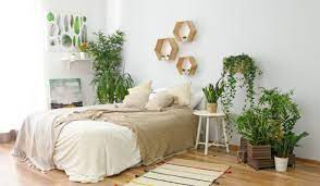indoor plants for bedroom ideas for