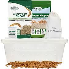 small animal mealworm breeder kit