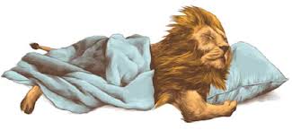 Image result for SLEEPING LION