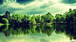 wallpapers com images hd tree on green lake 1519g7