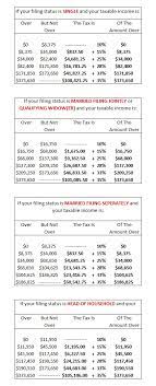 2010 federal income tax rates file