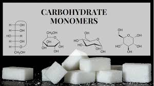 what are monomers of carbohydrates