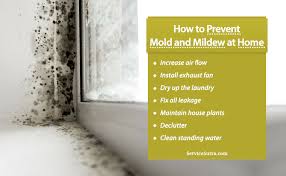 How To Prevent Mold And Mildew