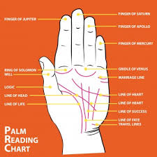 Image result for palm reading