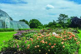 5 rose gardens to visit richard