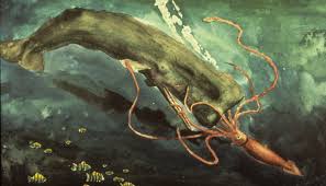 giant squid vs whale