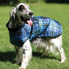 Dura Tech Waterproof Insulated Plaid Dog Coat Large X Large