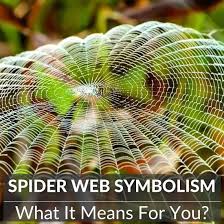 spider web symbolism what it means for