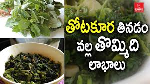 తోటకూర వెంకట రాజు), better known as t. Health Benefits Of Thotakura Amaranth Greens Health Tips In Telugu Eagle Andhra Youtube