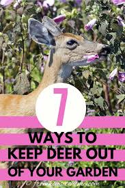 keep deer out of your garden