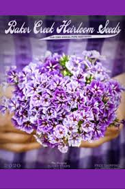 The Best Free Garden Seed Catalogs To