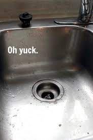 sanitize your stainless steel sink