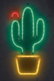 Mimo to należy do planet widocznych gołym okiem i była znana już w starożytności. Merkury Innovations 16 Cactus Flower Neon Sign Cactusflower Neon Signs Cactus Flower Neon