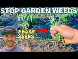 Make Your Garden Weed Free Forever In 2