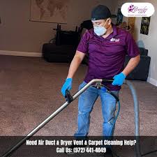 exceptional carpet cleaning services