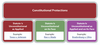 Constitutional Protections