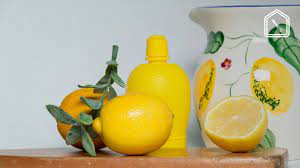 Dit is het verschil tussen citroensap uit een flesje en een verse citroen |  RTL Nieuws