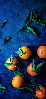 wallpaper orange mandarin orange