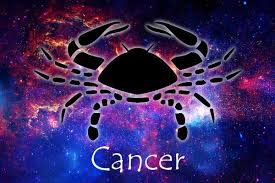 Image result for zodiak cancer