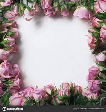 beautiful pink rose flowers form frame