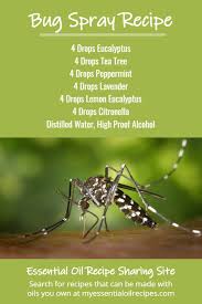 essential oil bug spray recipe an all