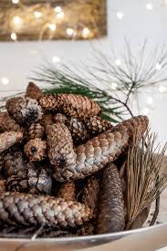 How To Make Scented Pine Cones The