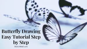 erfly drawing easy tutorial step by