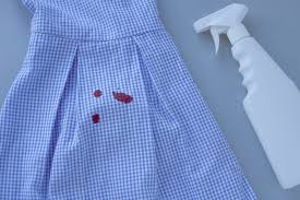 Best Ways To Get Blood Stains Out of Clothes | Cleanipedia ZA