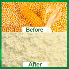 Maize Flour Production Business