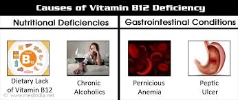 Vitamin B12 Deficiency Causes Symptoms Diagnosis