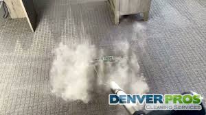 1 carpet cleaning in denver co over