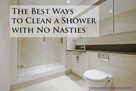 how to clean the shower with no nasties